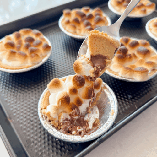 mini s'mores pie cover image